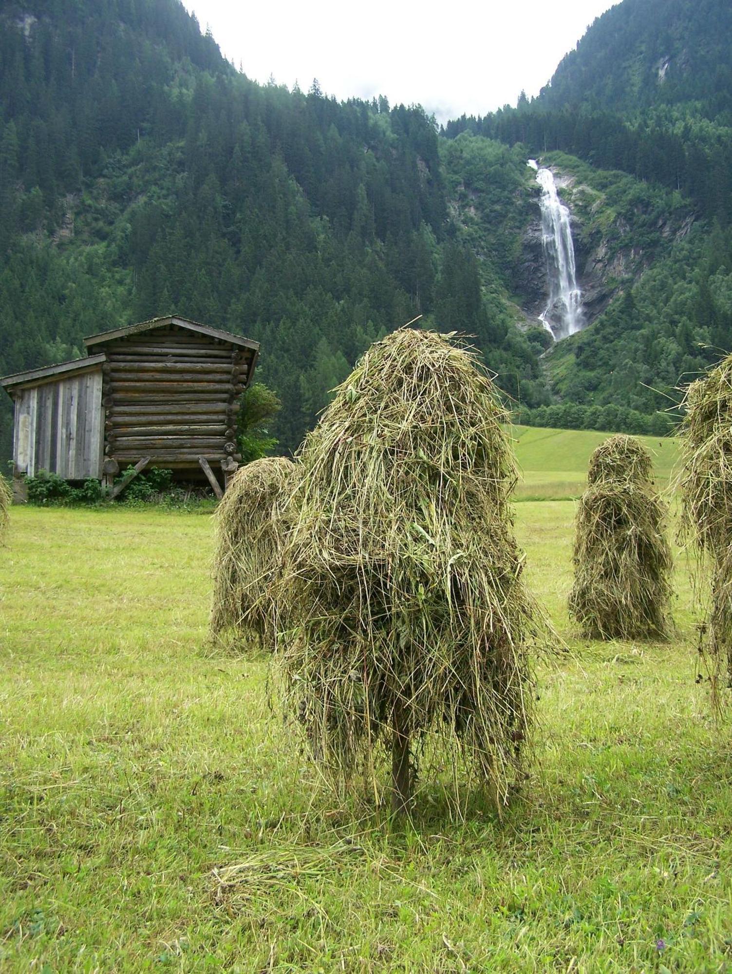 Apart-Pension Wasserfall Neustift im Stubaital Εξωτερικό φωτογραφία