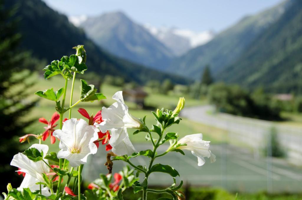 Apart-Pension Wasserfall Neustift im Stubaital Εξωτερικό φωτογραφία